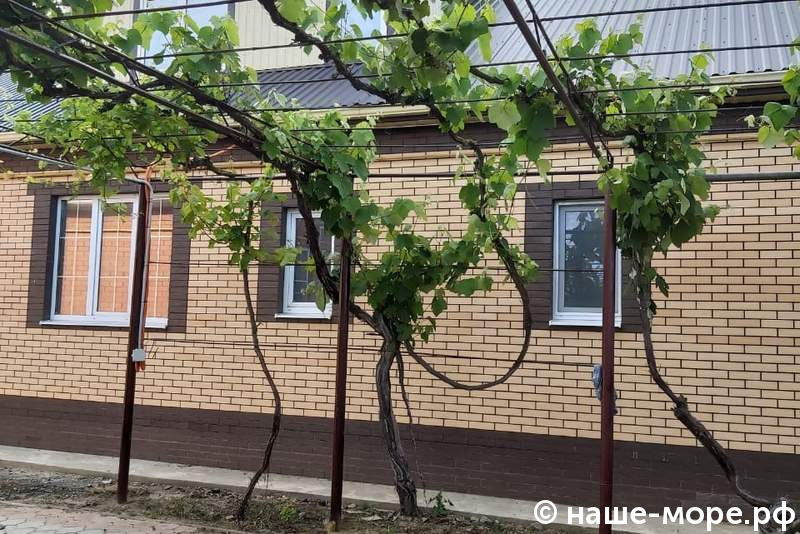 Гостевой дом «У Марины»