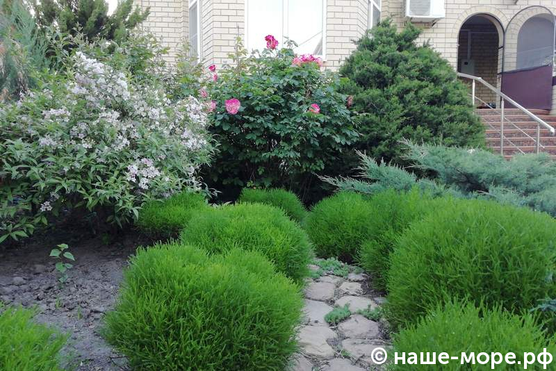 Мини-гостиница «В гостях у гномов»